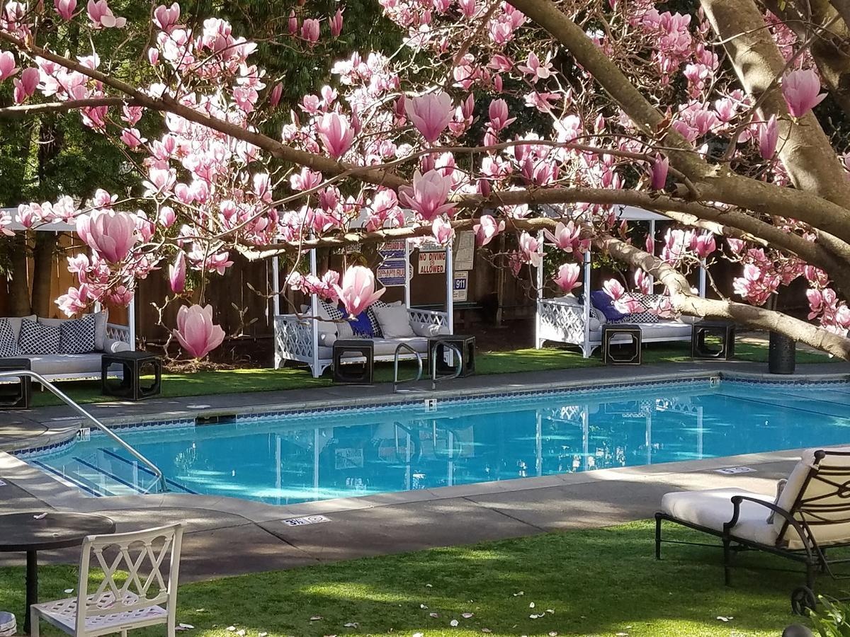 The White House Napa Valley ภายนอก รูปภาพ