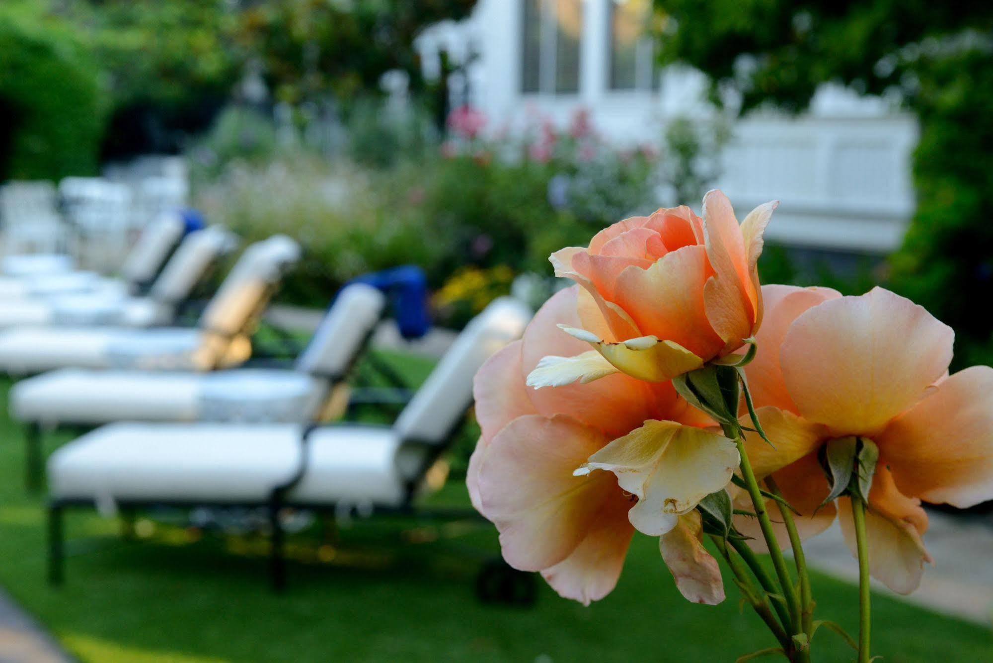 The White House Napa Valley ภายนอก รูปภาพ